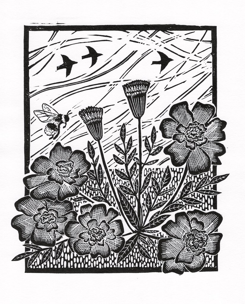 High Summer_Hannah Sanford.jpg