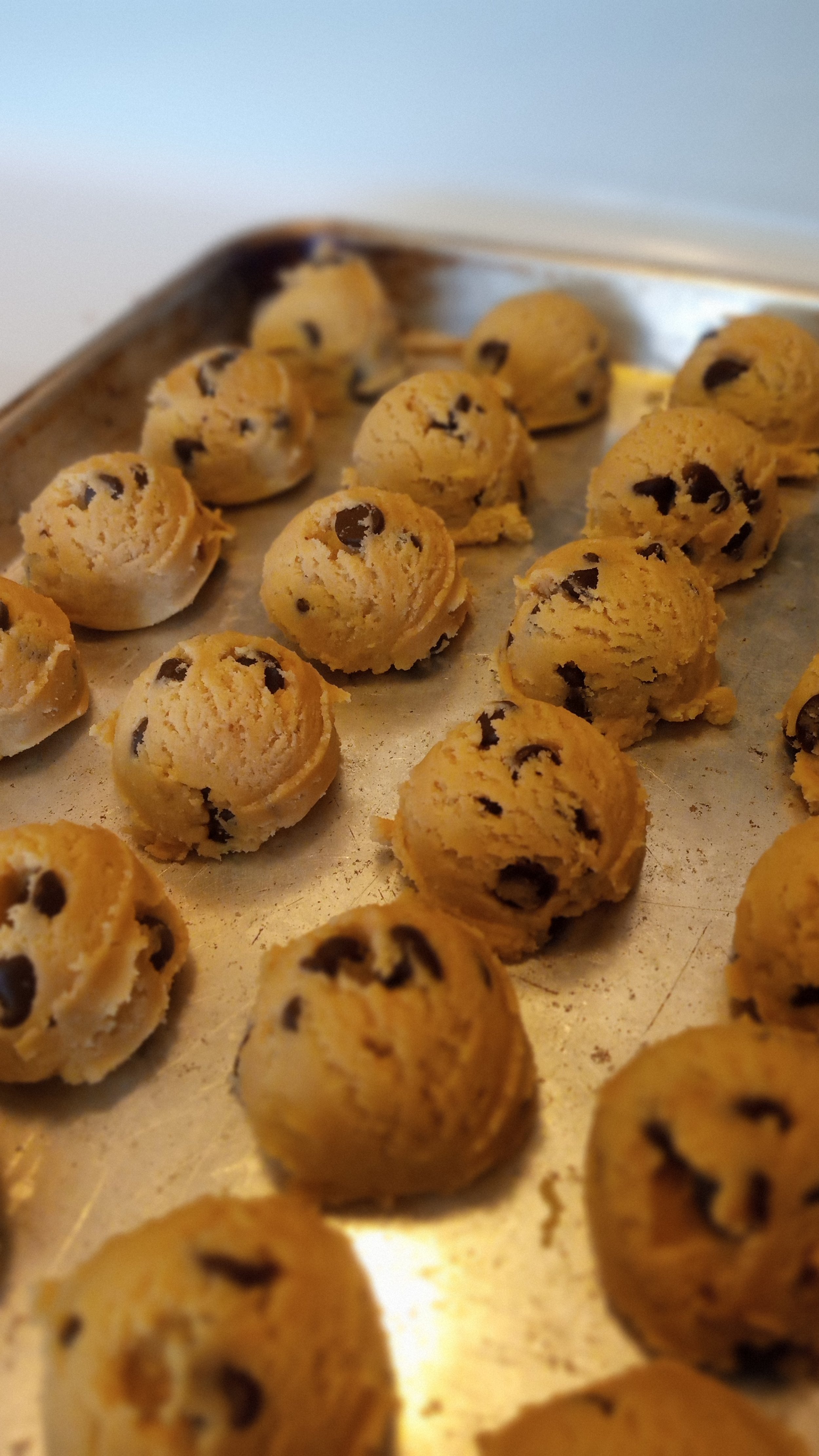 ChocChip.jpg