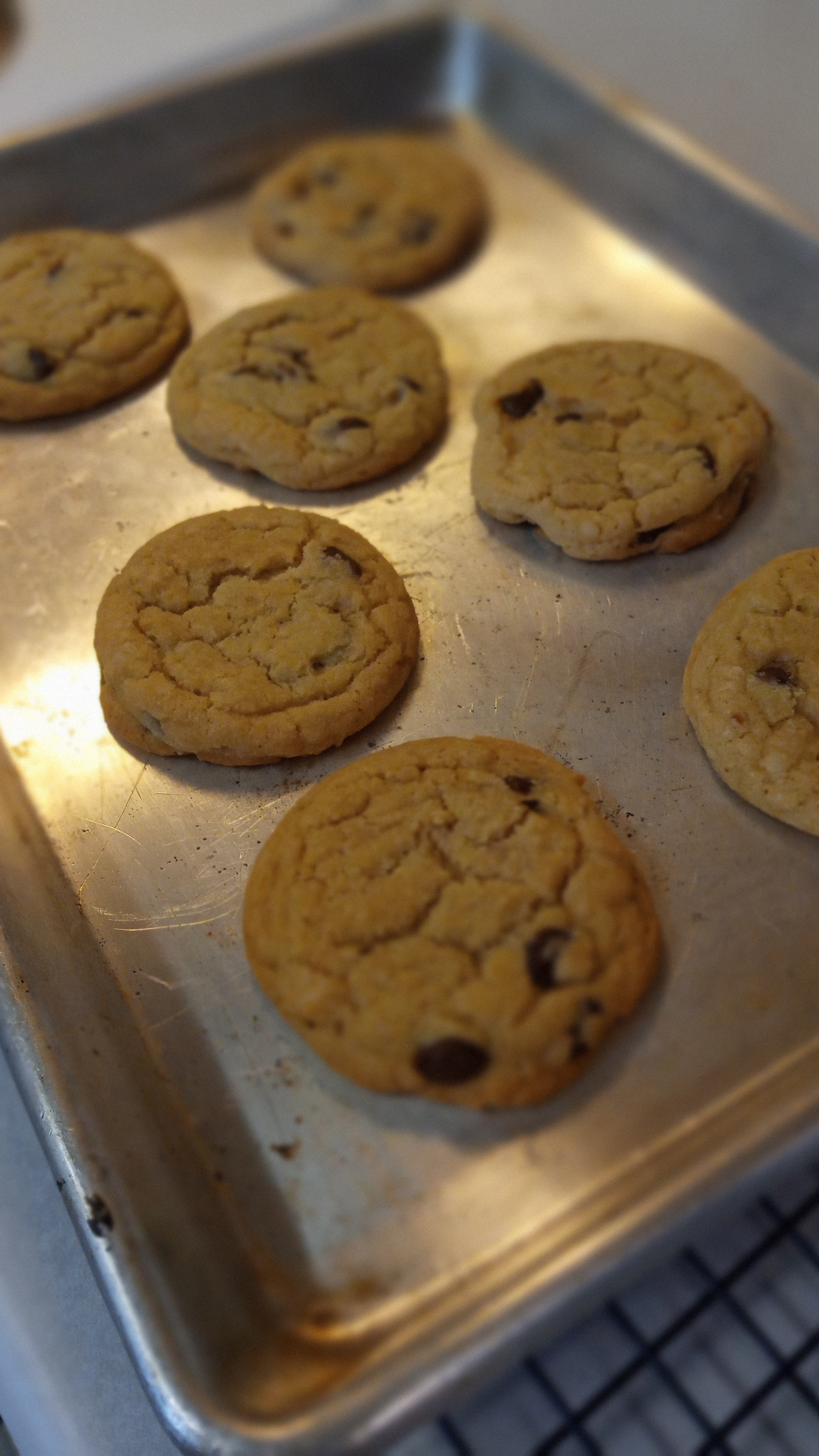 ChocChip baked.jpg