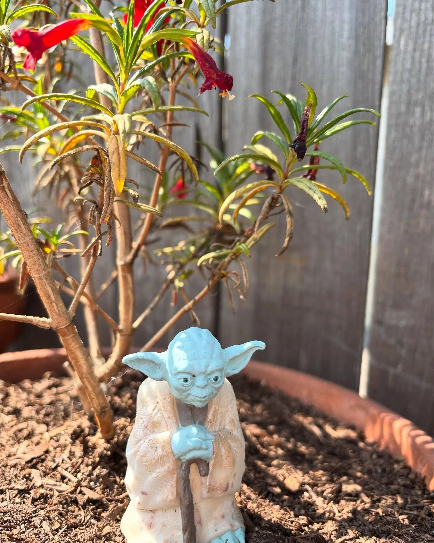 &ldquo;You will find only what you bring in.&rdquo;&mdash;Yoda #maythe4thbewithyou