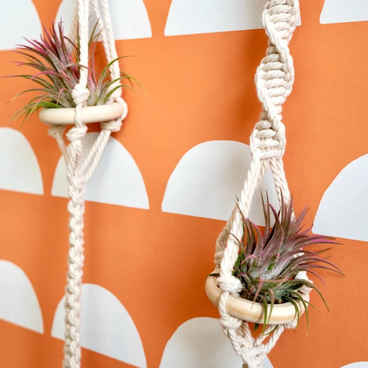 Macrame Air Plant Hangers
$30