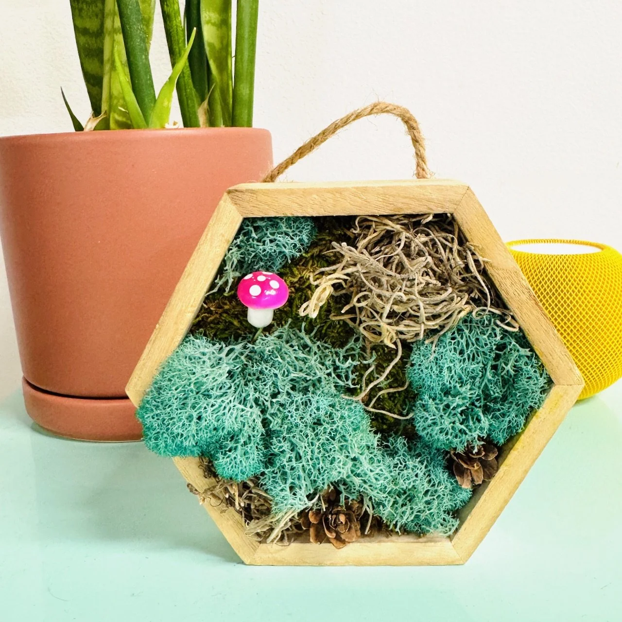 Moss Wall Art
$35