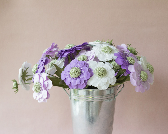 Modern Paper Flowers: Scabiosa
2h | $85