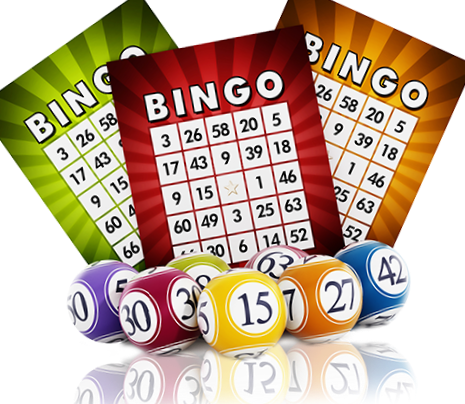 Bingo is Back!