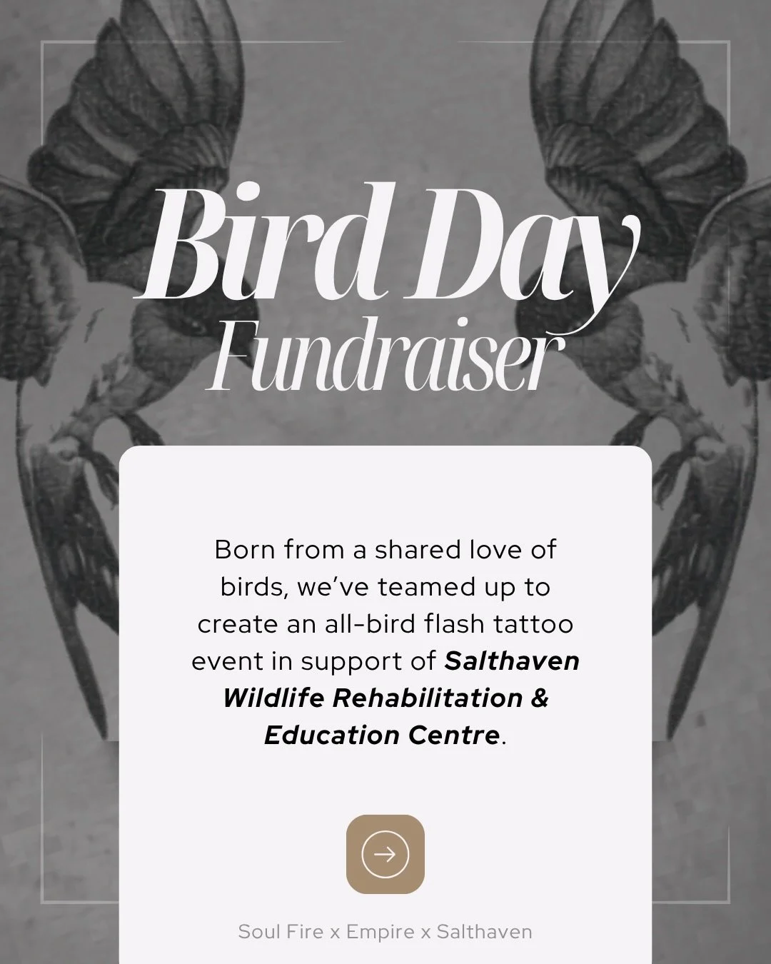 🐦 BIRD DAY FUNDRAISER 🐦

We&rsquo;re excited to announce a special bird-themed flash tattoo event in support of Salthaven Wildlife Rehabilitation &amp; Education Centre.

Born from a shared love of birds, this event brings together local tattoo art