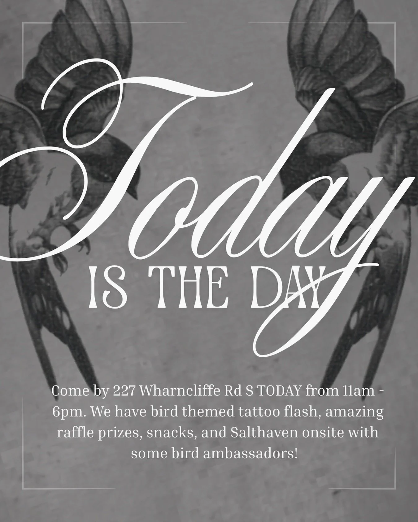 Stop by @soulfire_tattoostudio today between 11am-6pm and help us raise funds for @salthaven_org so they can continue doing the amazing work they do. Salthaven Wildlife Rehabilitation and Education Centre is committed to the care and rehabilitation o