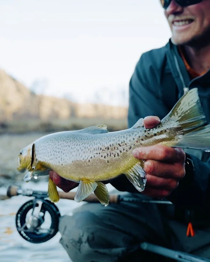 Joseph @idaaflyy and Bradley @funky_fly_guy spent two days throwing streamers for some stellar Winter Trout. Some beautiful browns and cutthroat in the mix. 

Go check out the latest Winter Streamer Video on the @travelfishfilm YouTube channel! 🙏

?