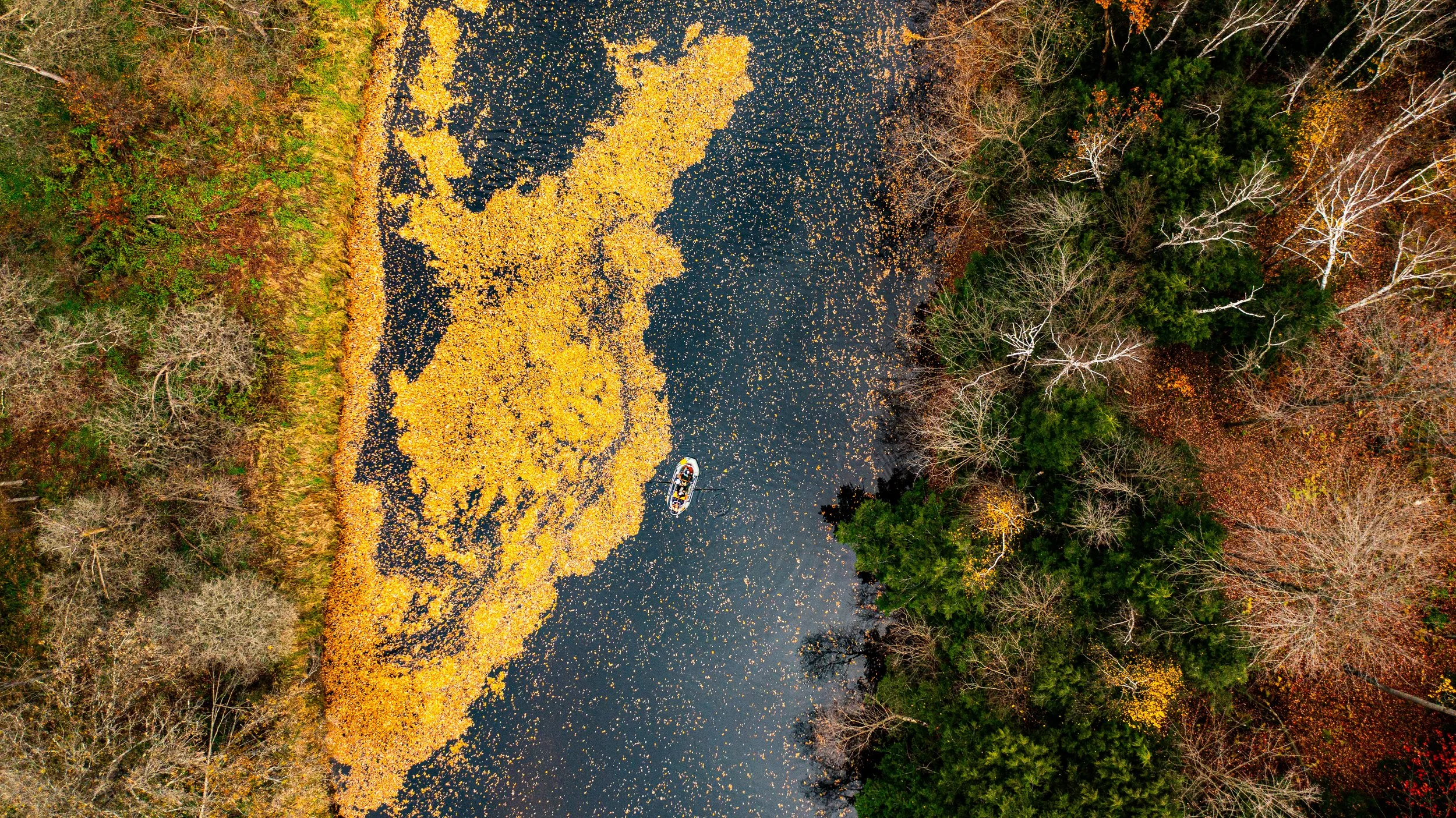 DJI_0348-2.jpg