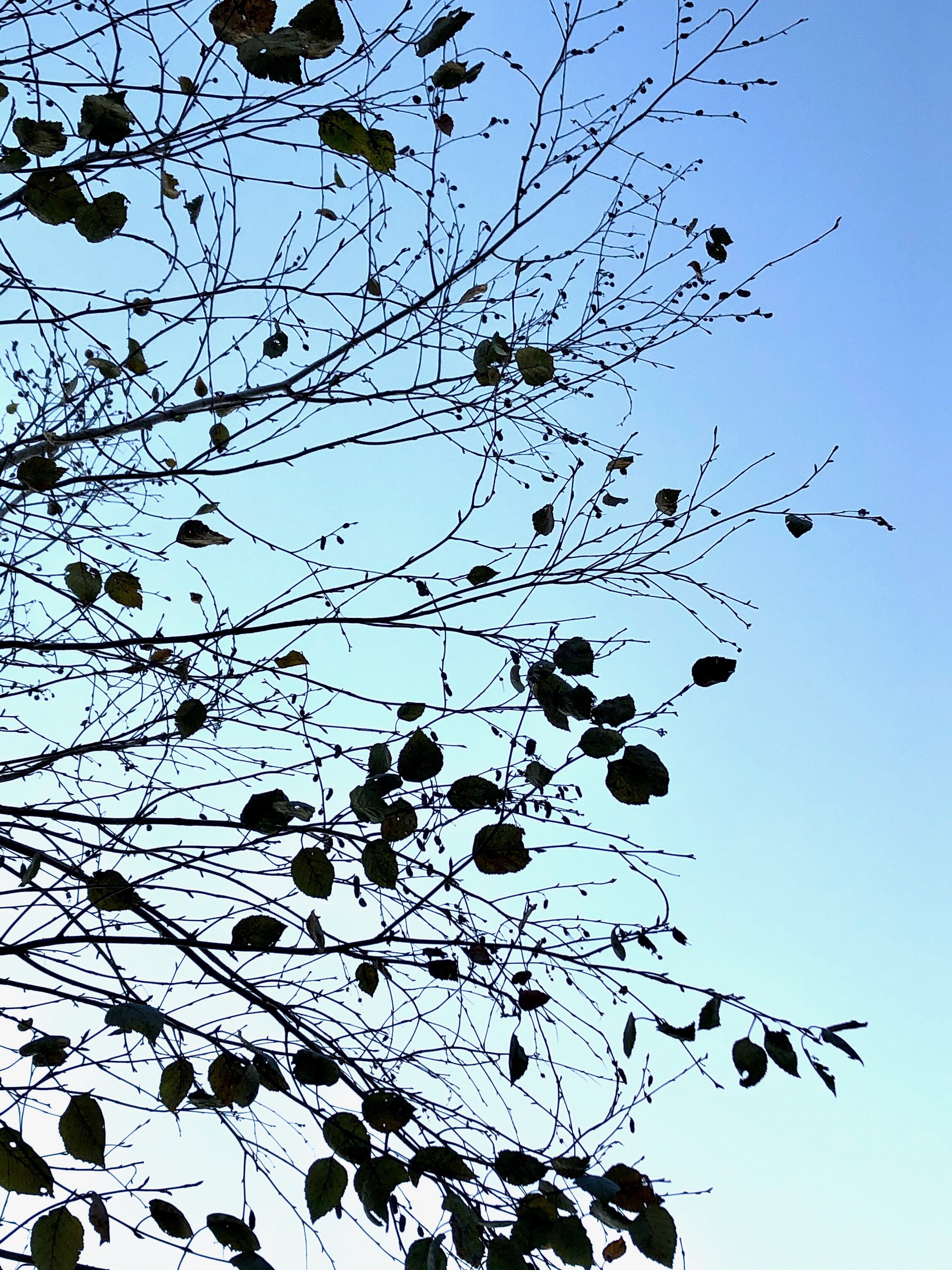 Letting Go