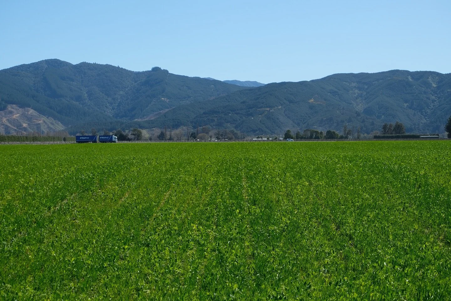 After 30 years in vineyard leased to Pernod Ricard the 88Ha Squire Estate has been returned to the care of Kieth Adams. ECC and Garlico are working with Kieth to regenerate soils over the next few years.
To stimulate the biology and improve the org
