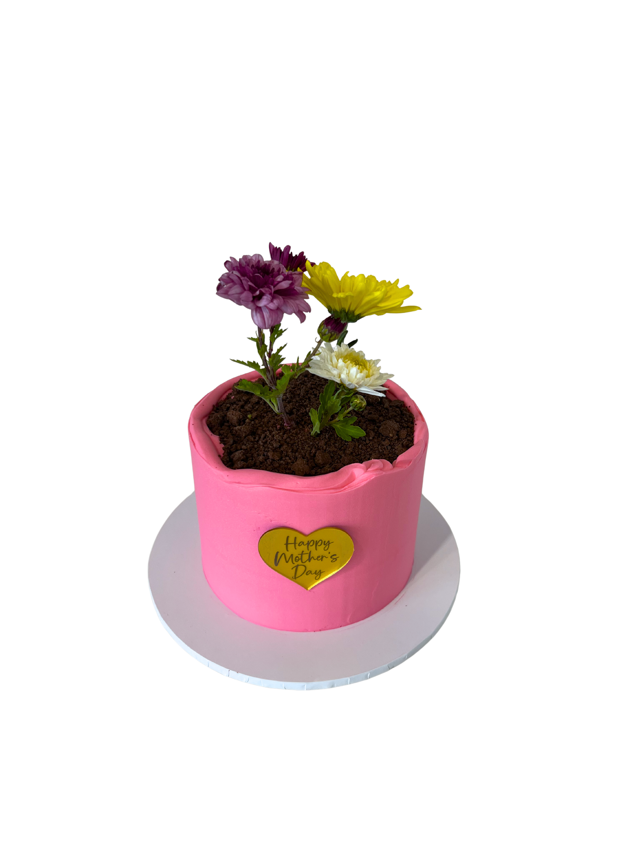 IMG_4658 - Edited.png