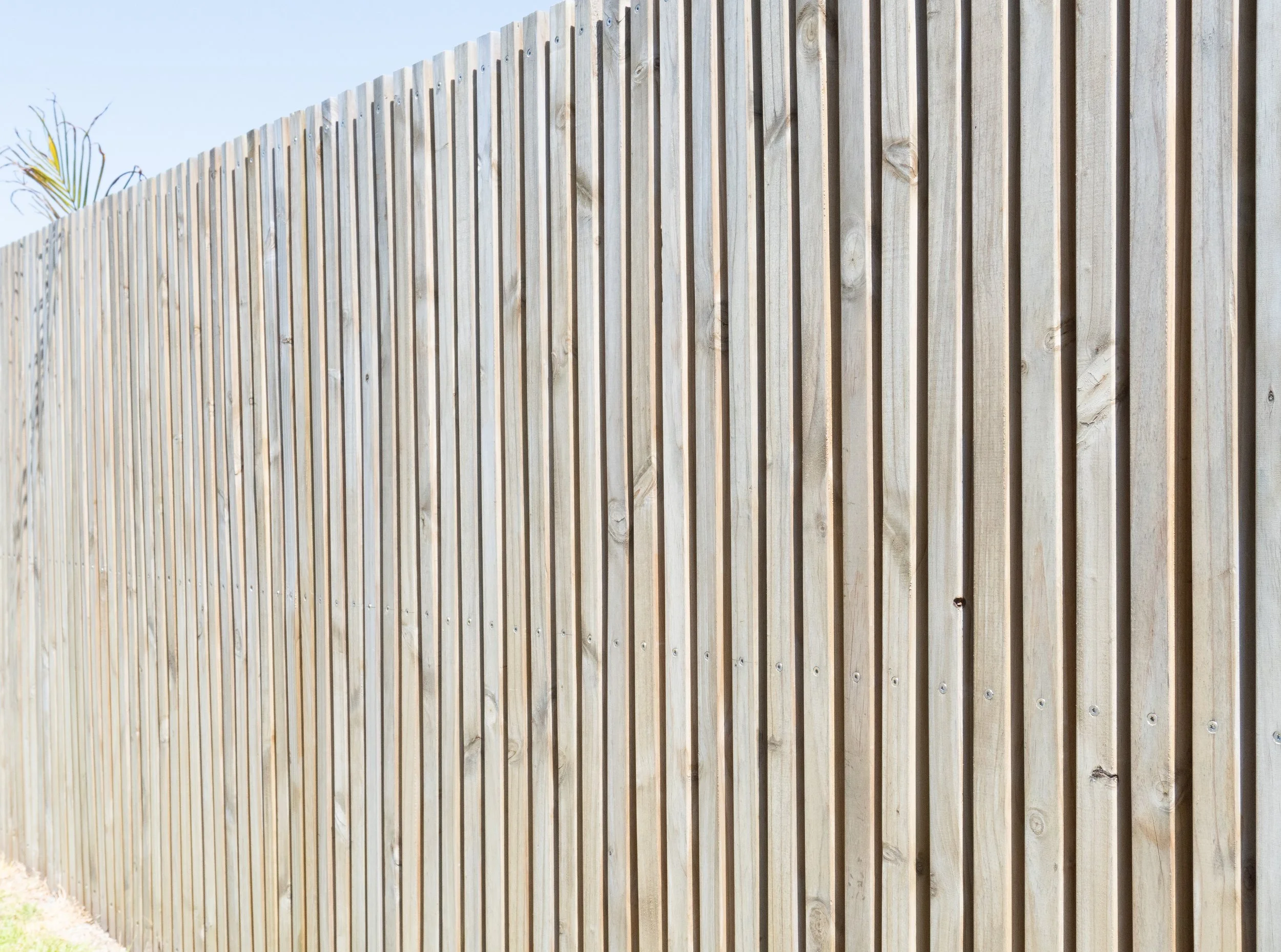 Wooden privacy fence outdoors with clear sky and part of a plant visible in the top left corner.