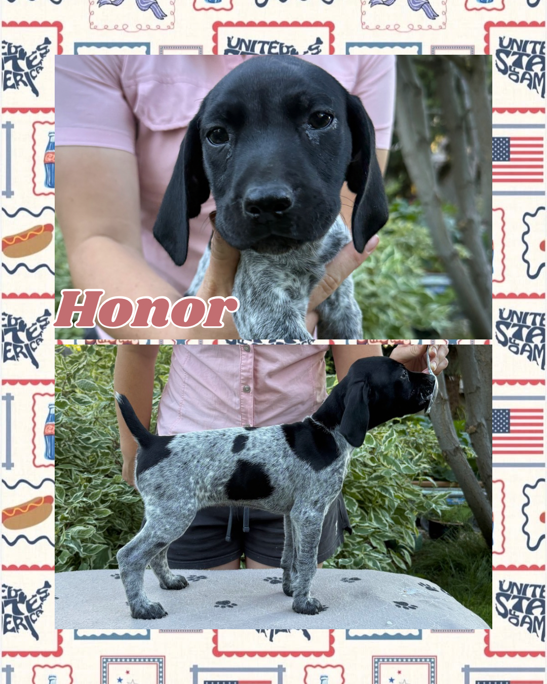 Honor.png