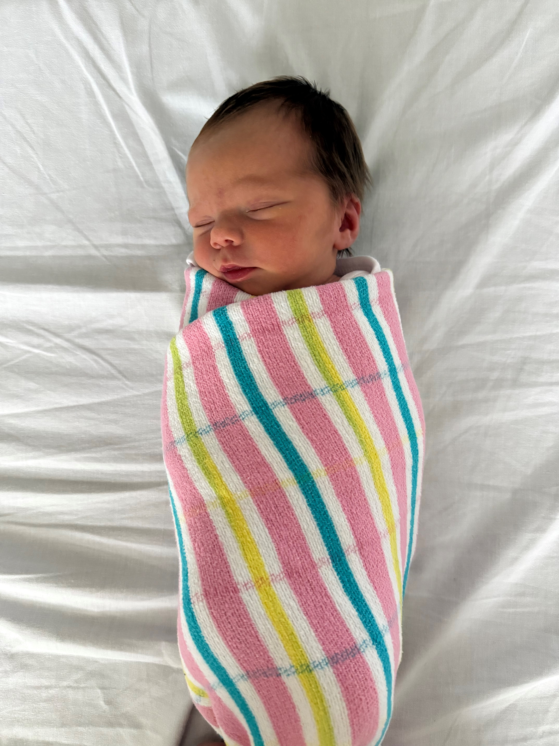 Amelia 18/05/26