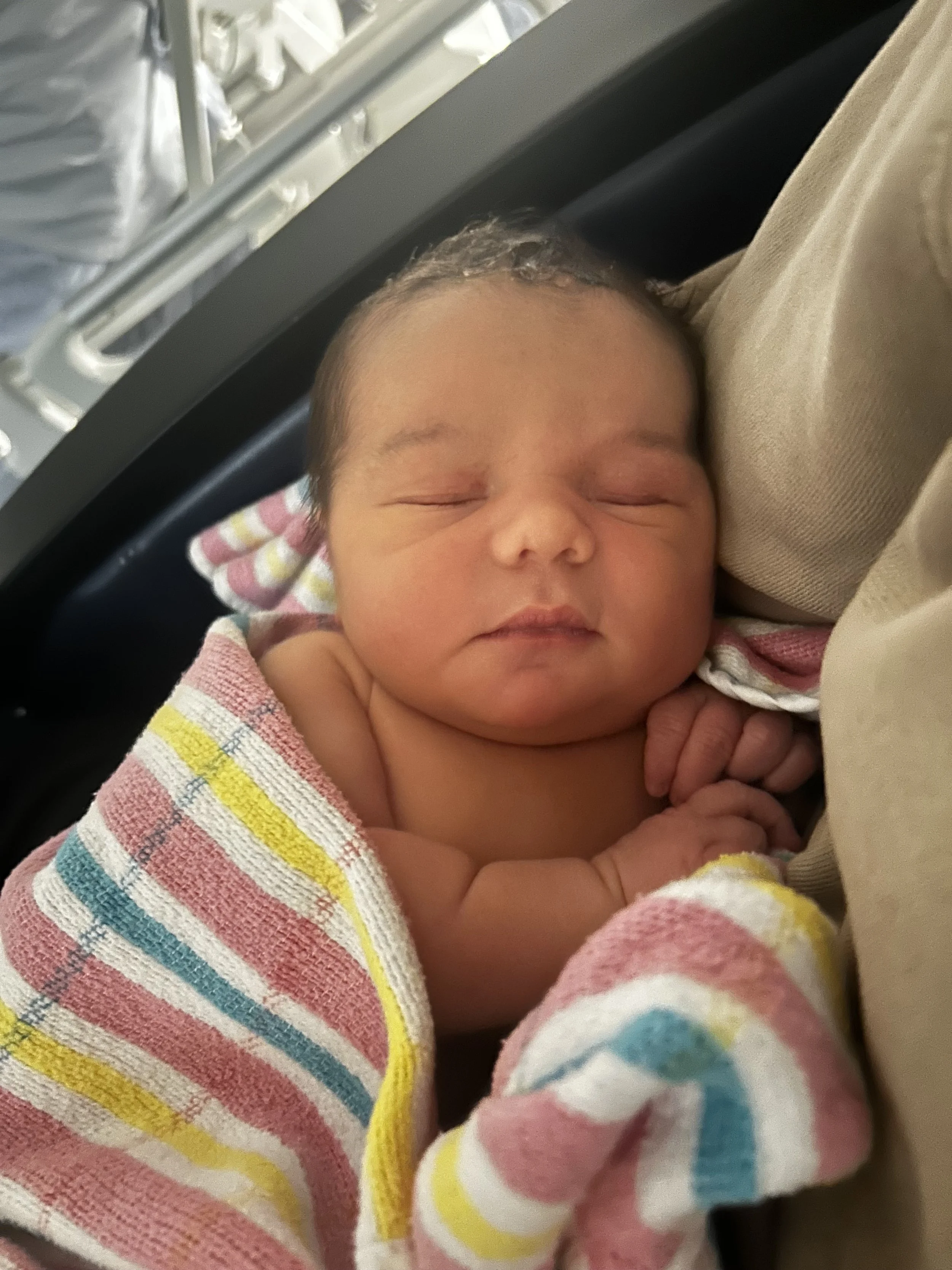 Phoebe 17/07/26