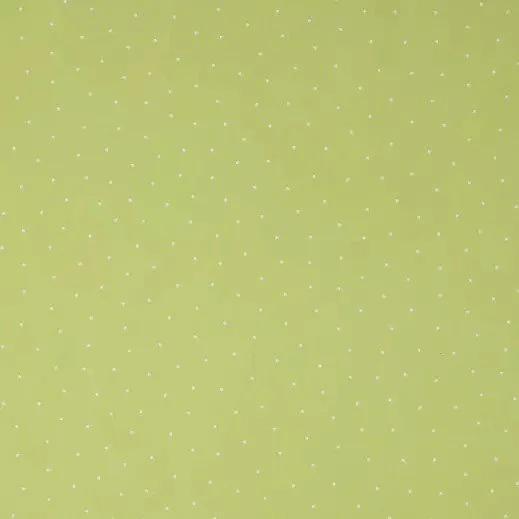 MiniDot-Cactus & Off White--1873959-80964723-IMGSET.jpg