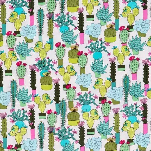 Botanical Succulents--1544907-80853634-IMGSET.jpg