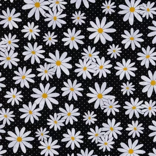 Daisies-Black&White--2042851-81026469-IMGSET.jpg