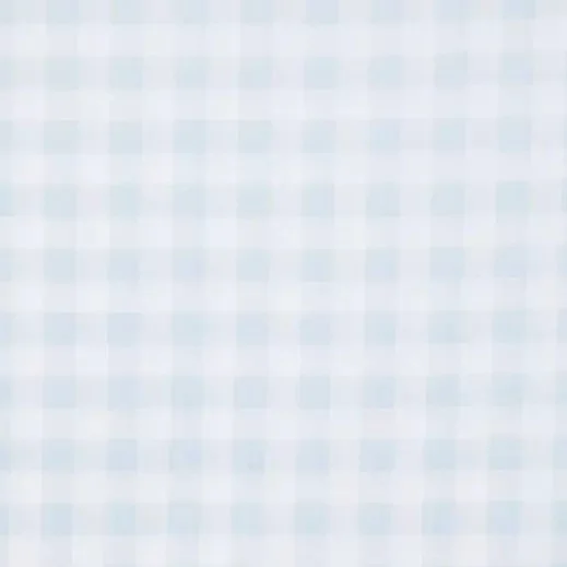 BuffaloCheck-LightBlue2140705-81058972-IMGSET.jpg