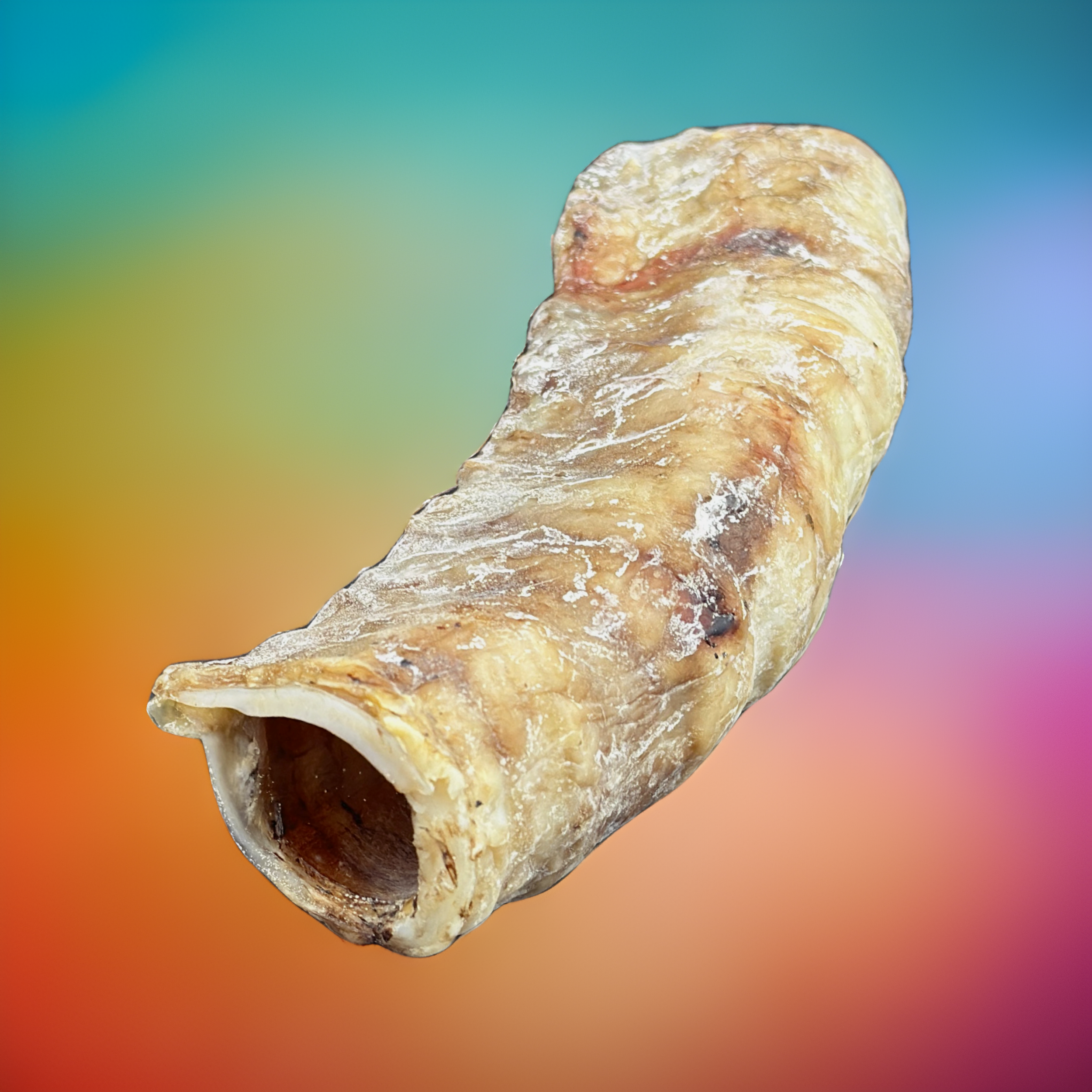 Beef Trachea