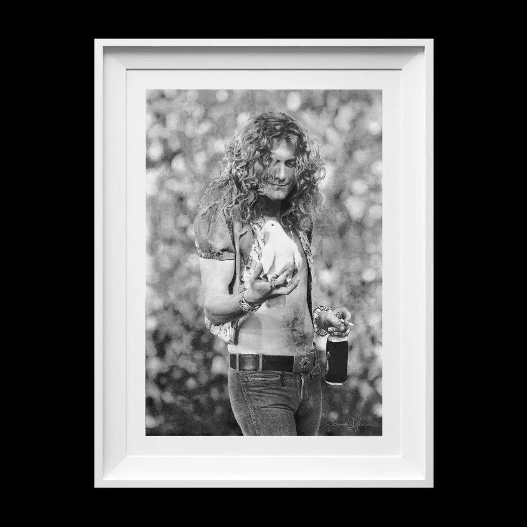 Robert Plant Pencil Drawing