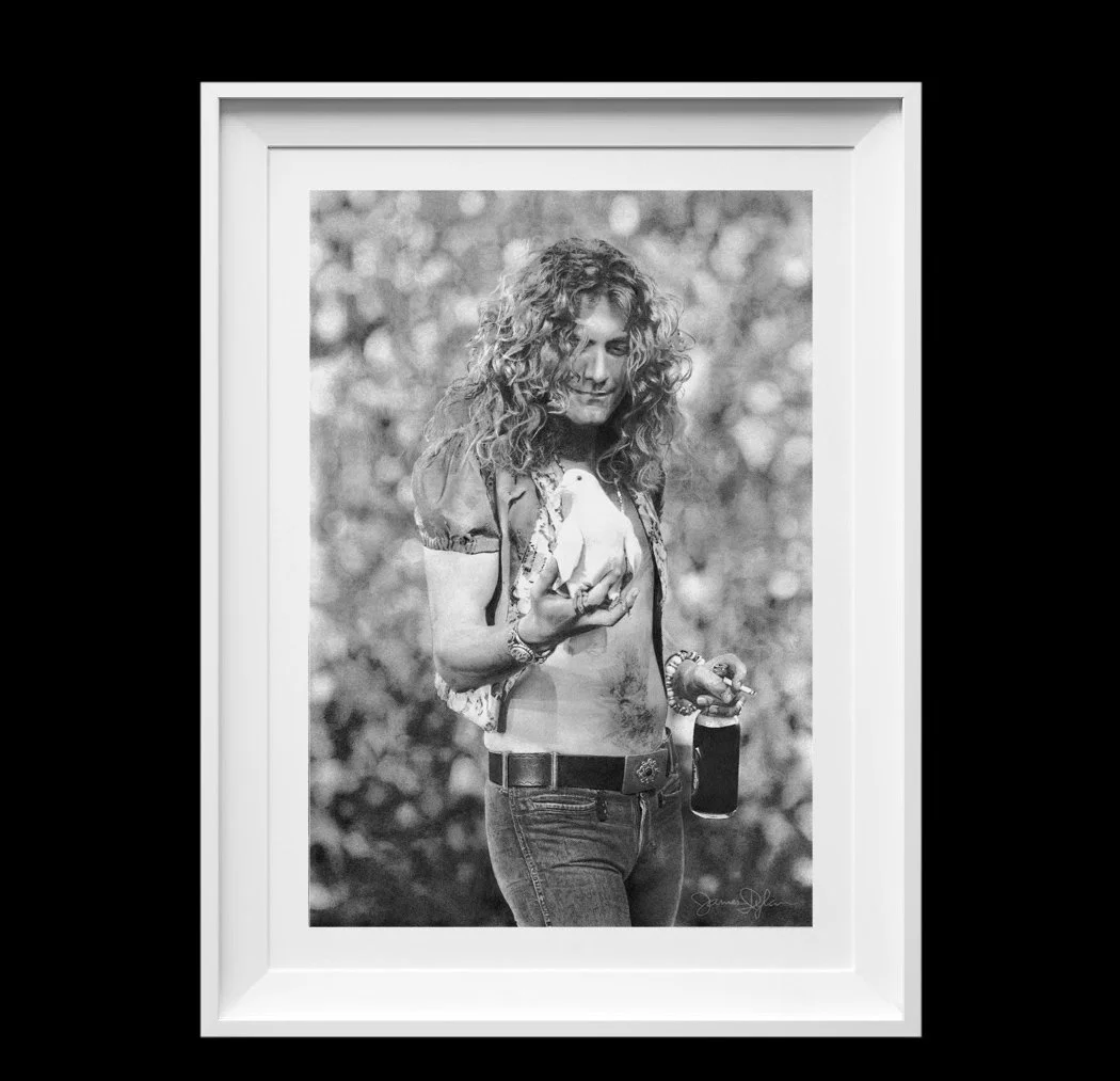 robertplant001.jpg
