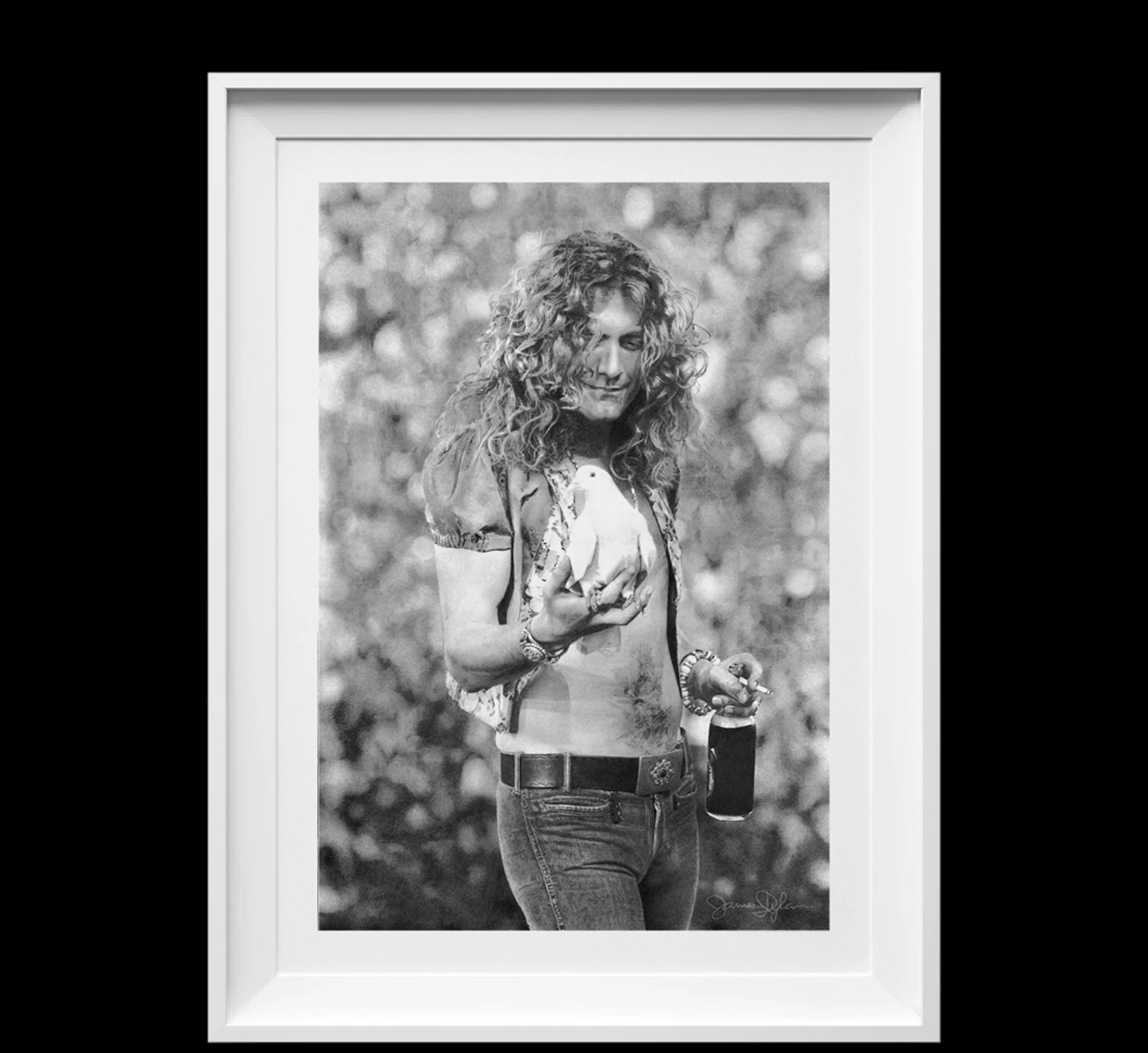 Drawing Print -  Robert Plant