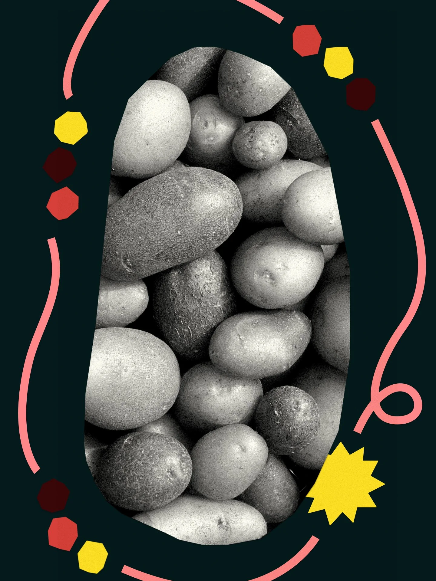 The Potato’s Journey Through Mountain Landscapes to the Global Table