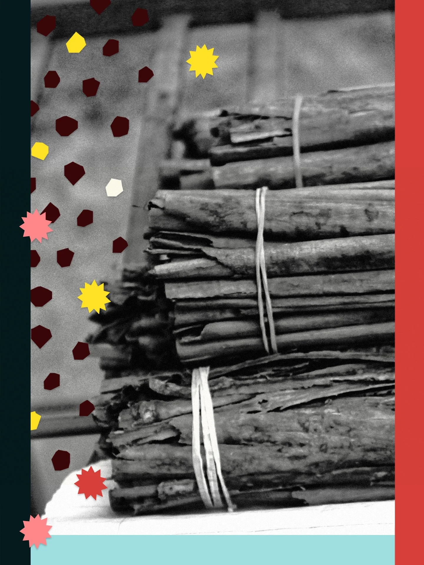Cinnamon’s Journey, From Soft Bark to Global Spice