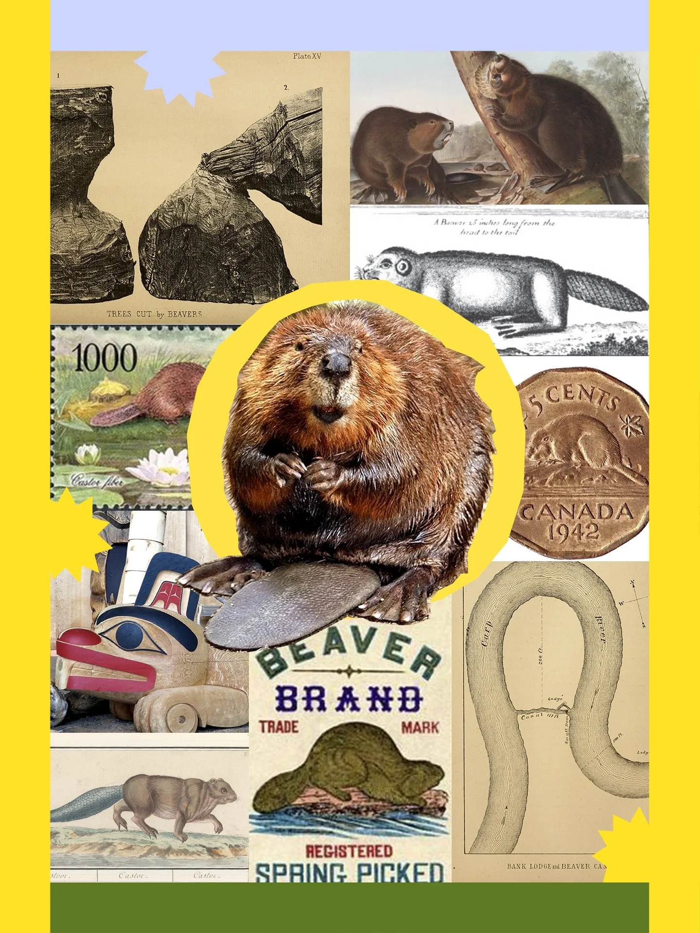 How Beavers Shaped Human History