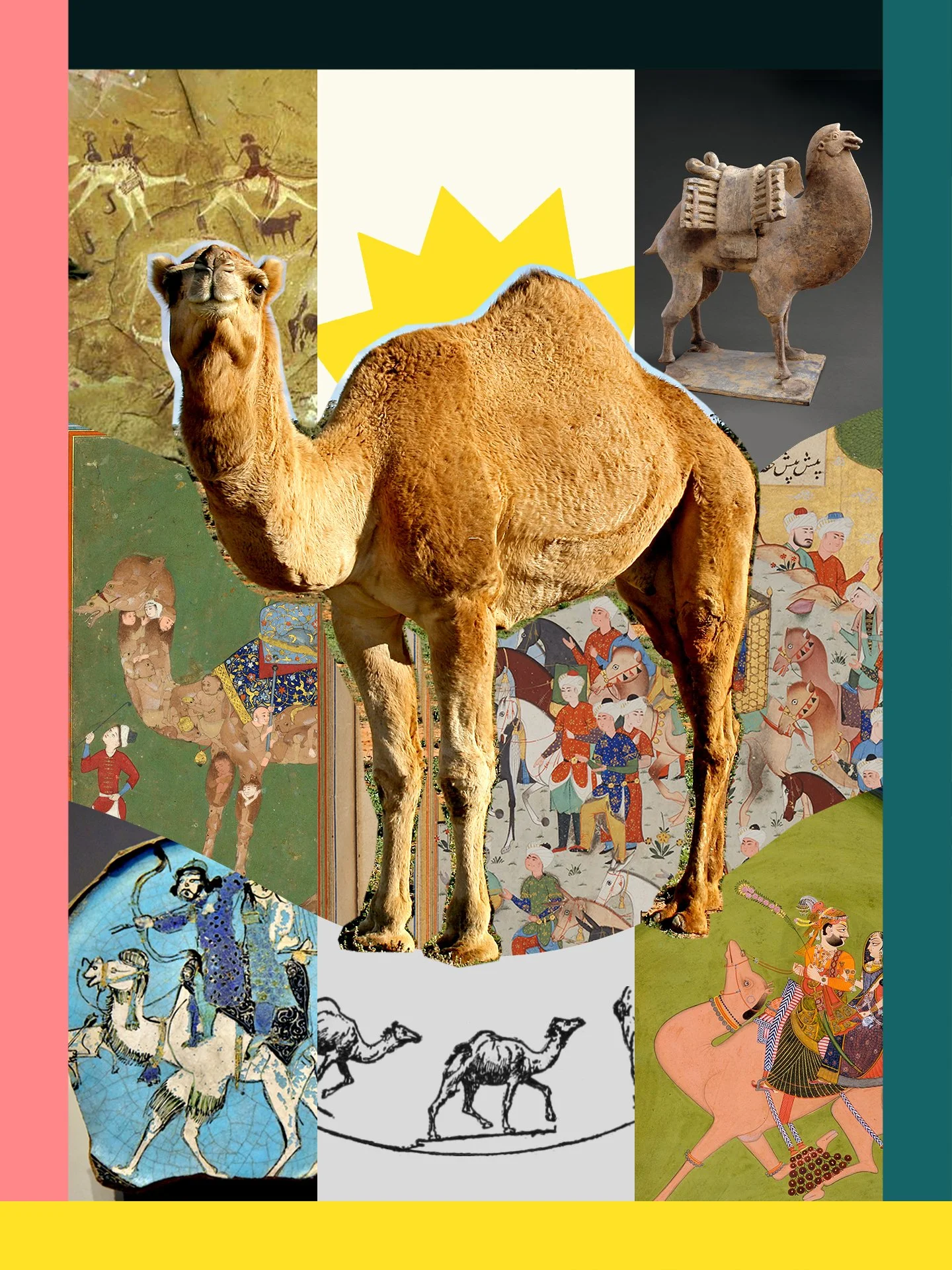 How Camels Shaped Human History