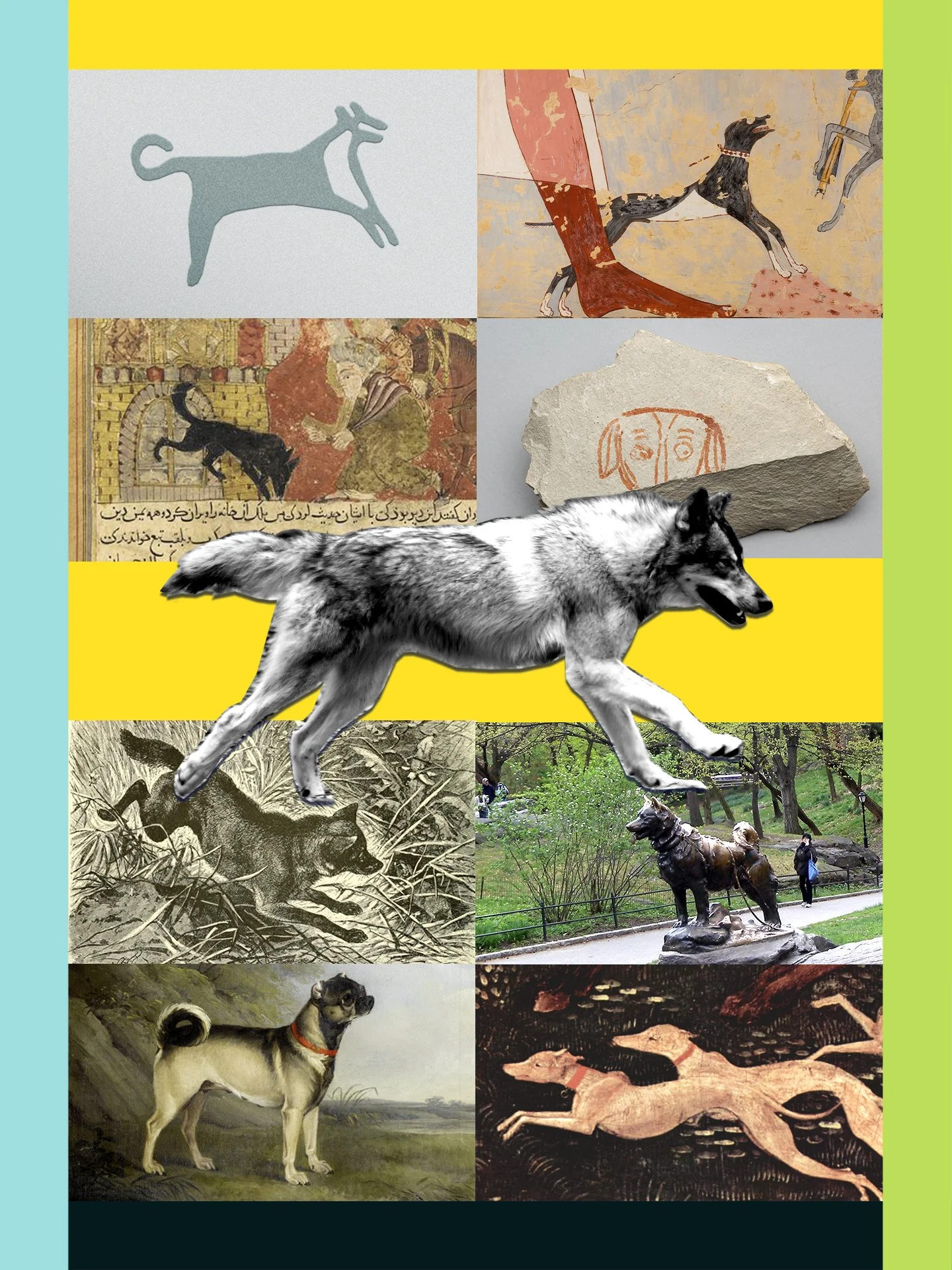 How Dogs Shaped Human History