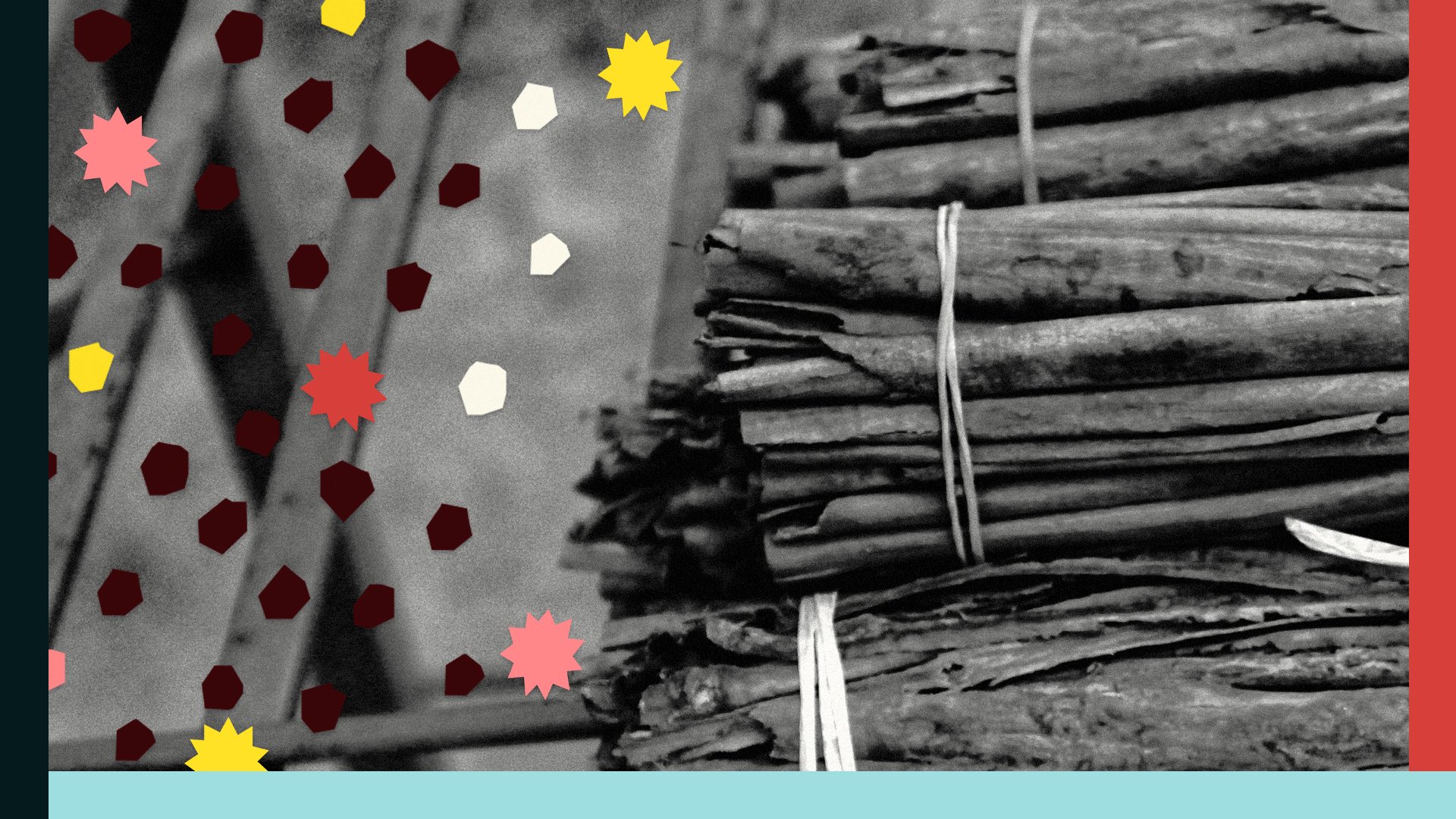 Photo illustration of cinnamon surrounded by graphic lines and circles.