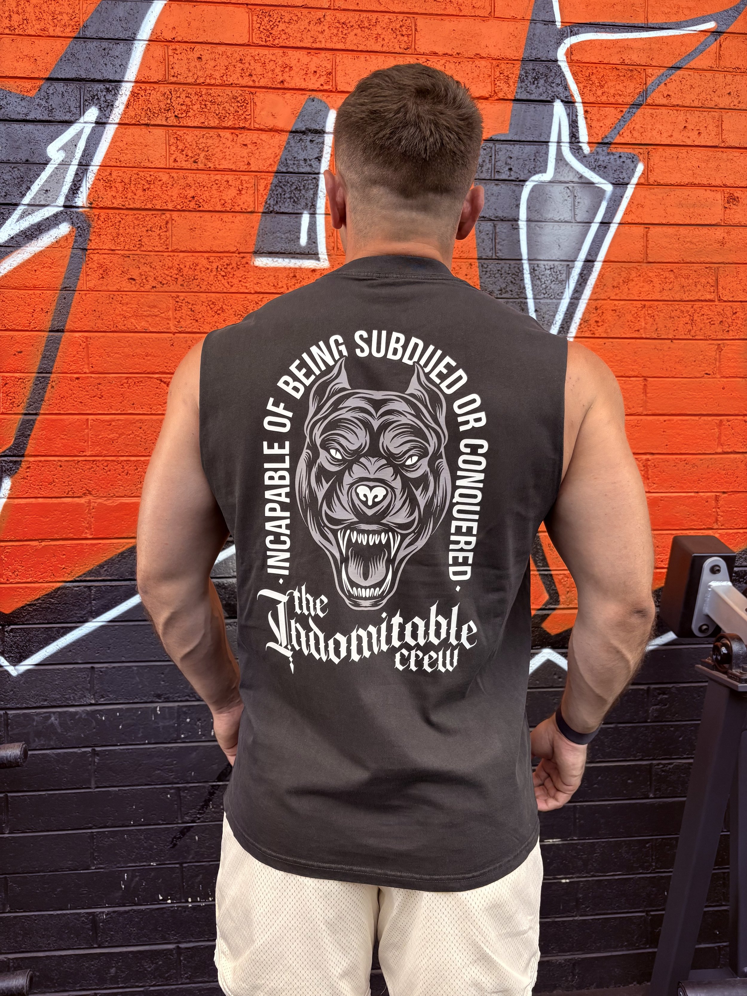 Unisex Heavy Faded Tank Hellhound Print back view.jpeg