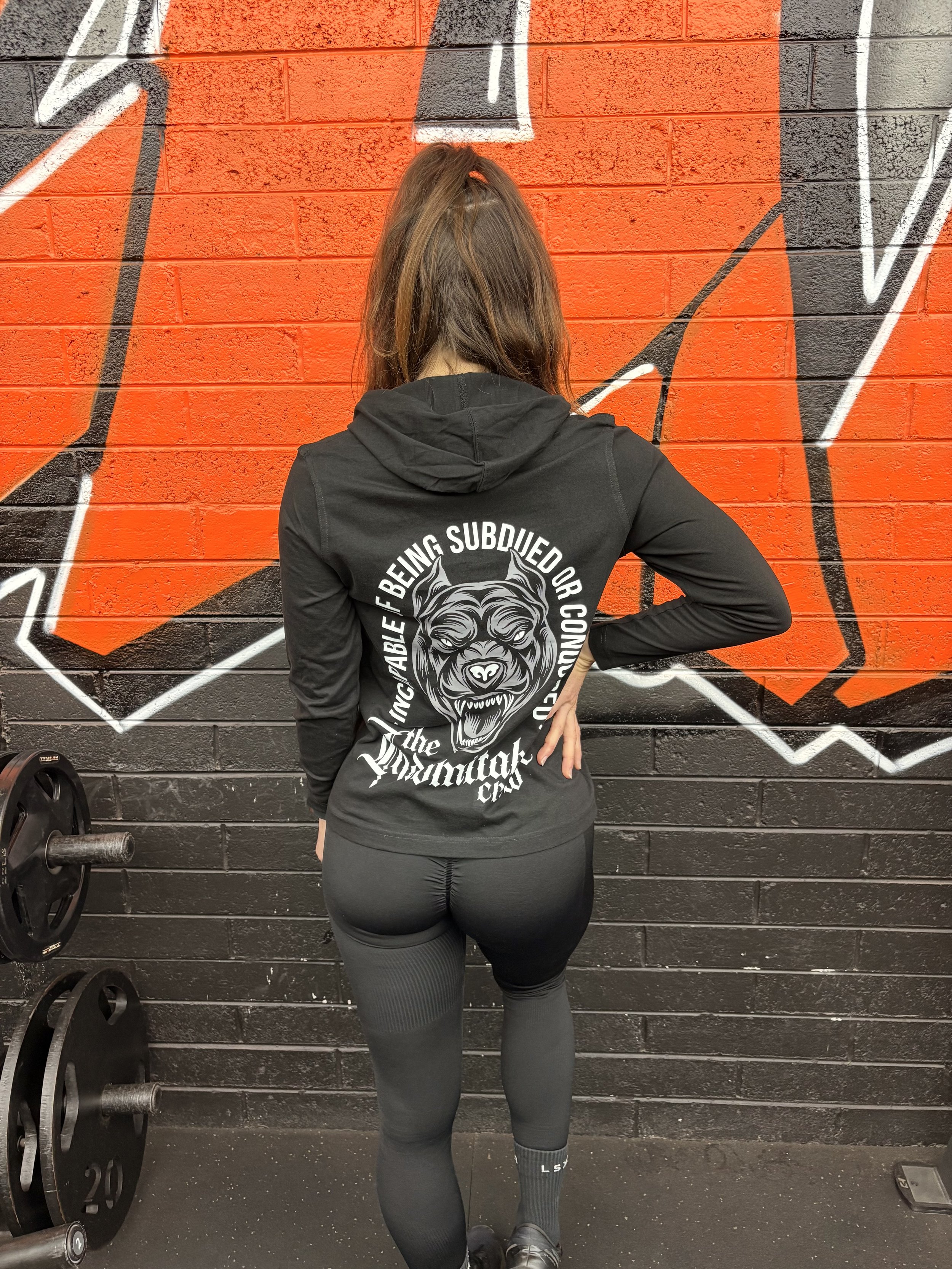 Unisex L_S Hooded Tee HellHound back view.jpeg