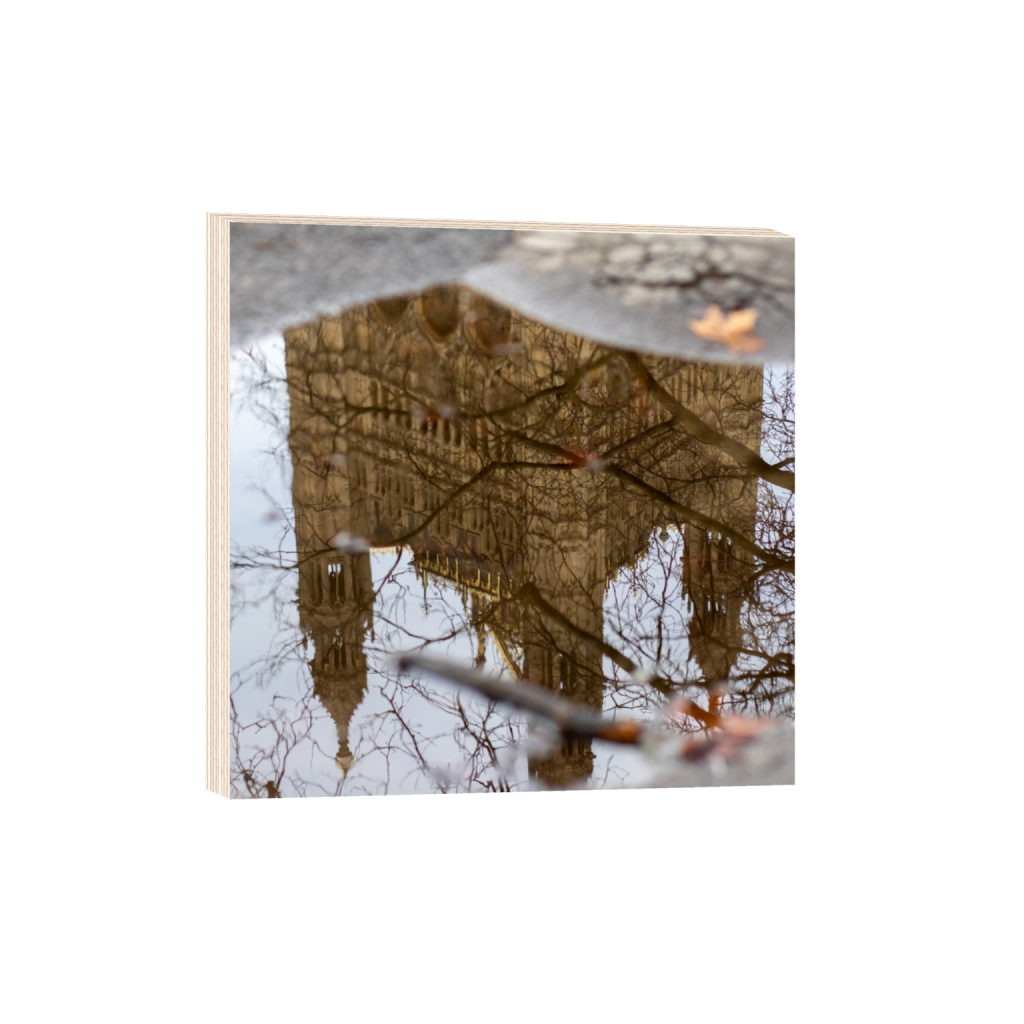 ptq_29_0_1292_0_3315_3315_0_false_ffffff_0_0_.png