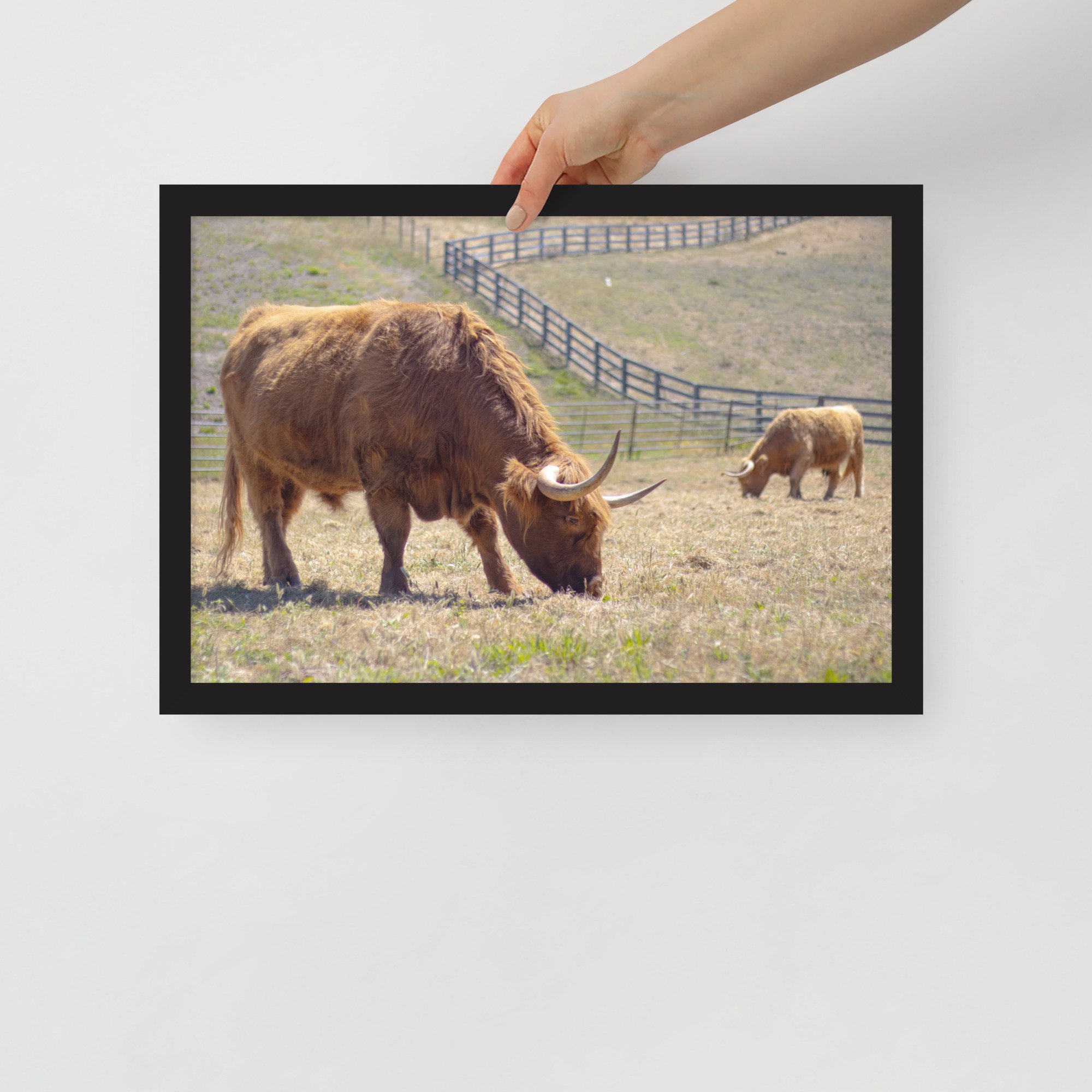 premium-luster-photo-paper-framed-poster-(in)-black-12x18-front-6782d7da84b4f.jpg