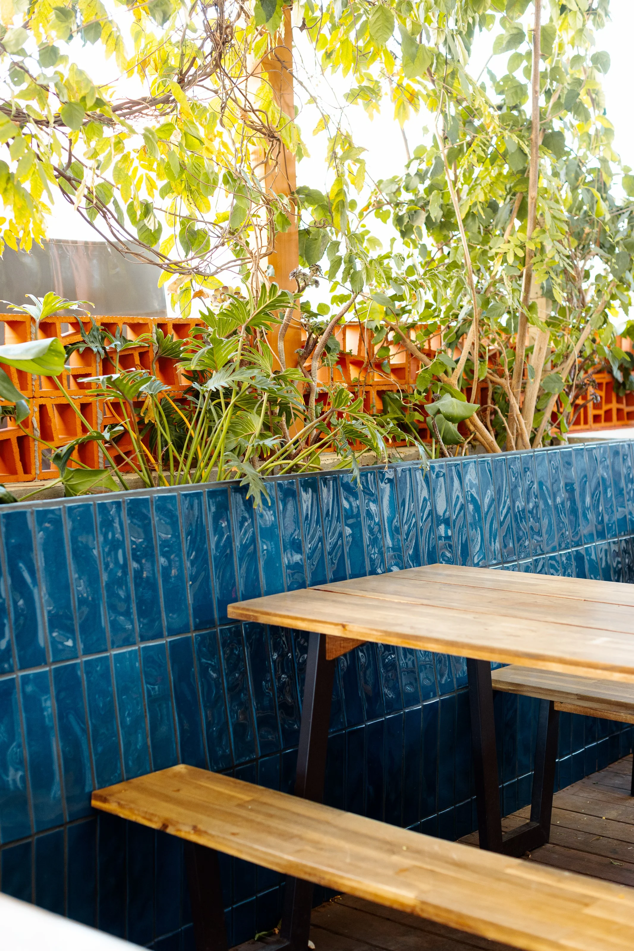 Outdoor seating area with wooden table and benches, surrounded by lush green plants and blue tiled wall.