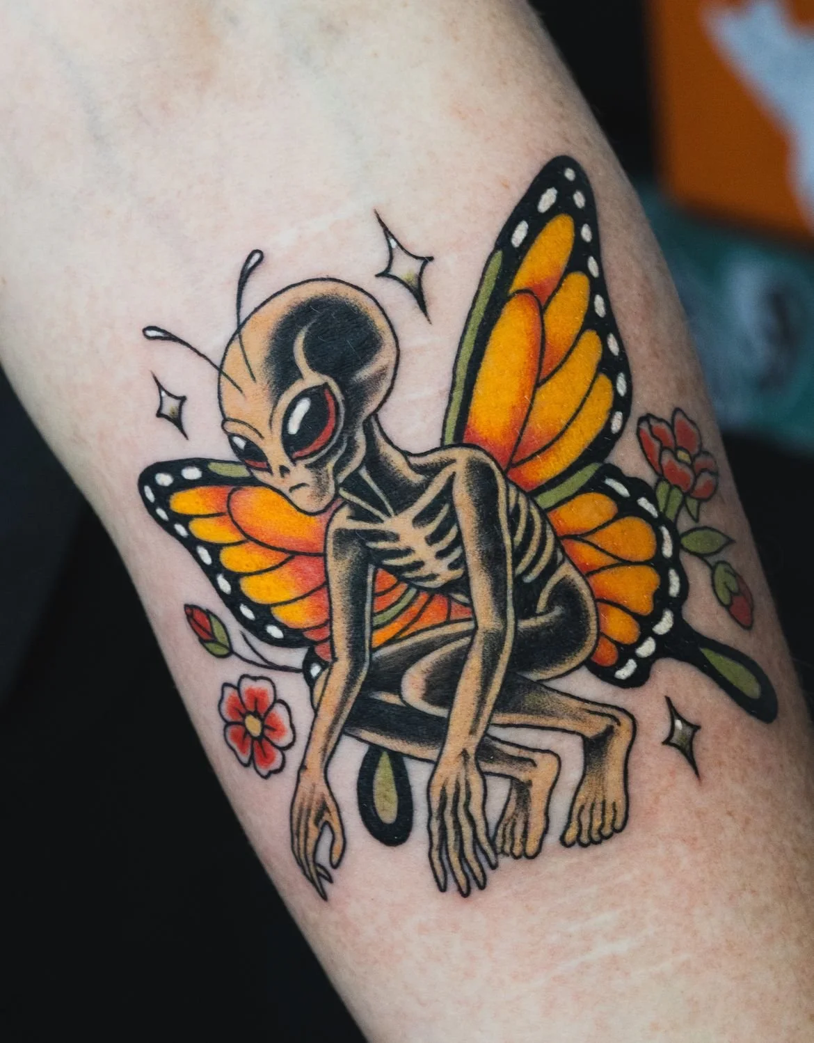 43.jpg