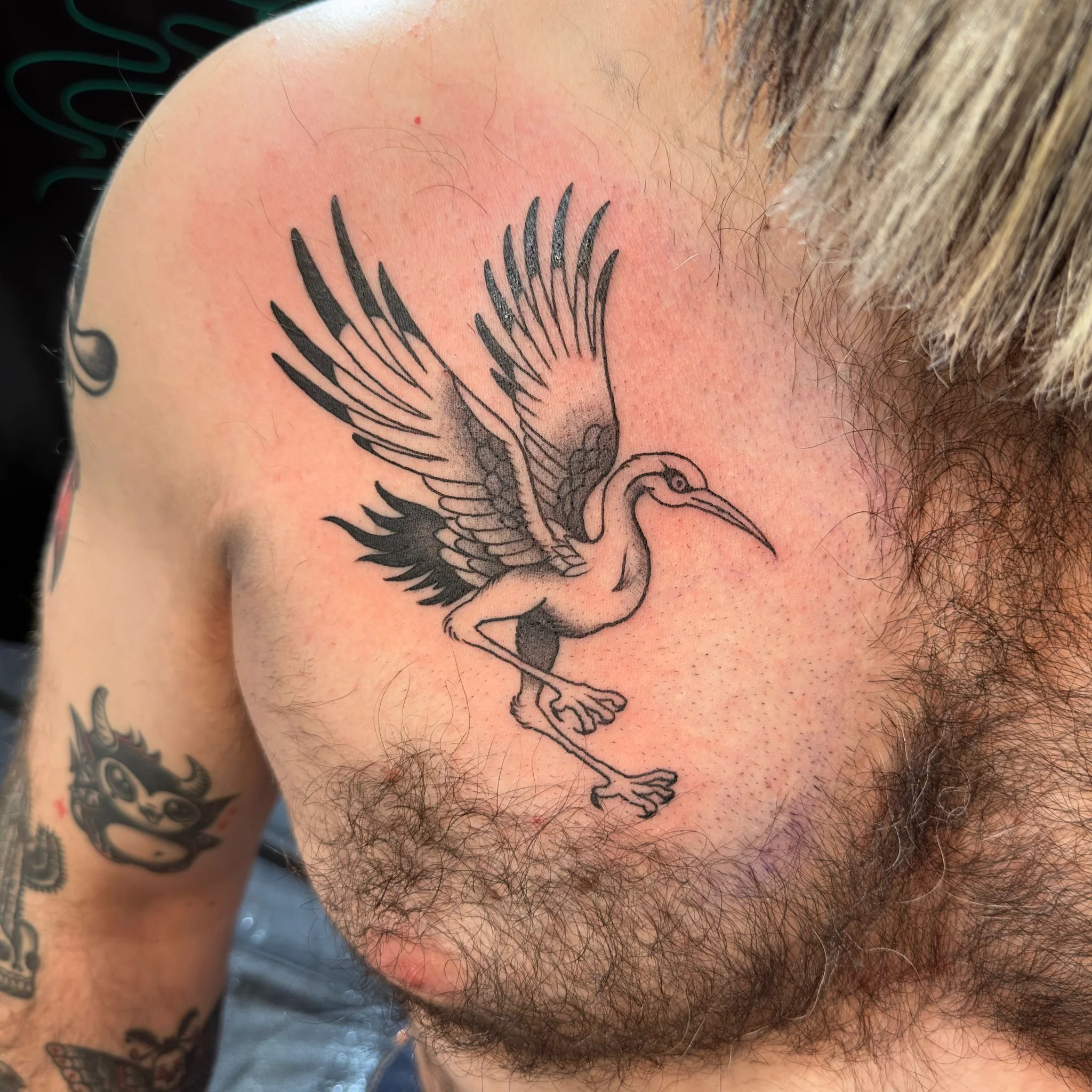 WhatsApp Image 2024-08-12 at 16.19.31.jpeg