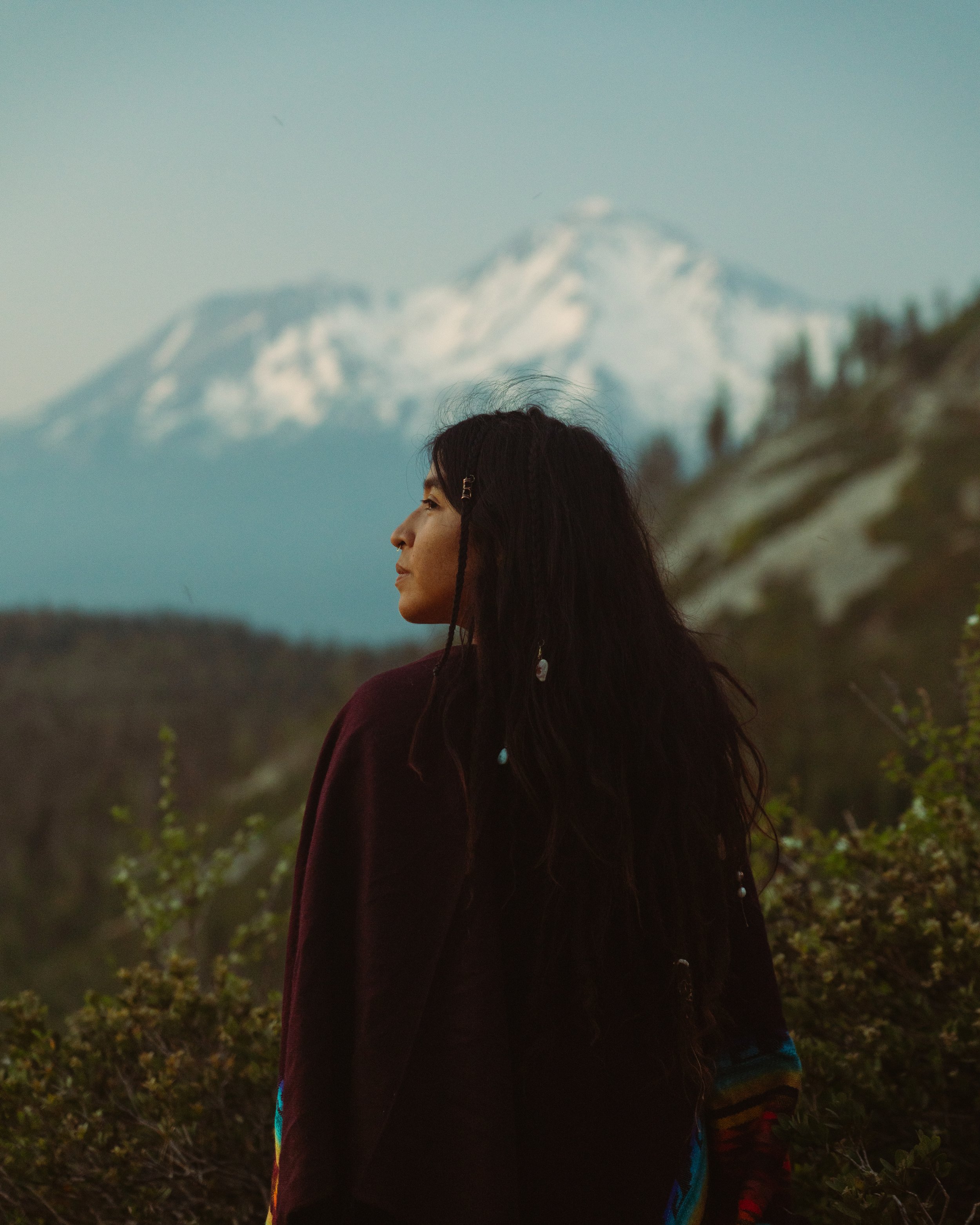 shasta.jpg