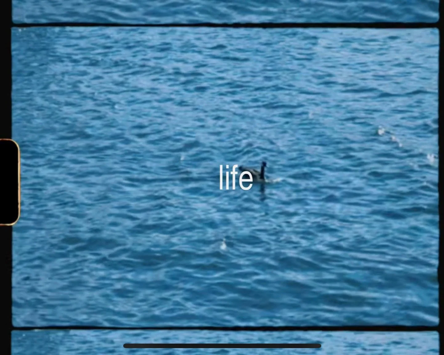 life 01