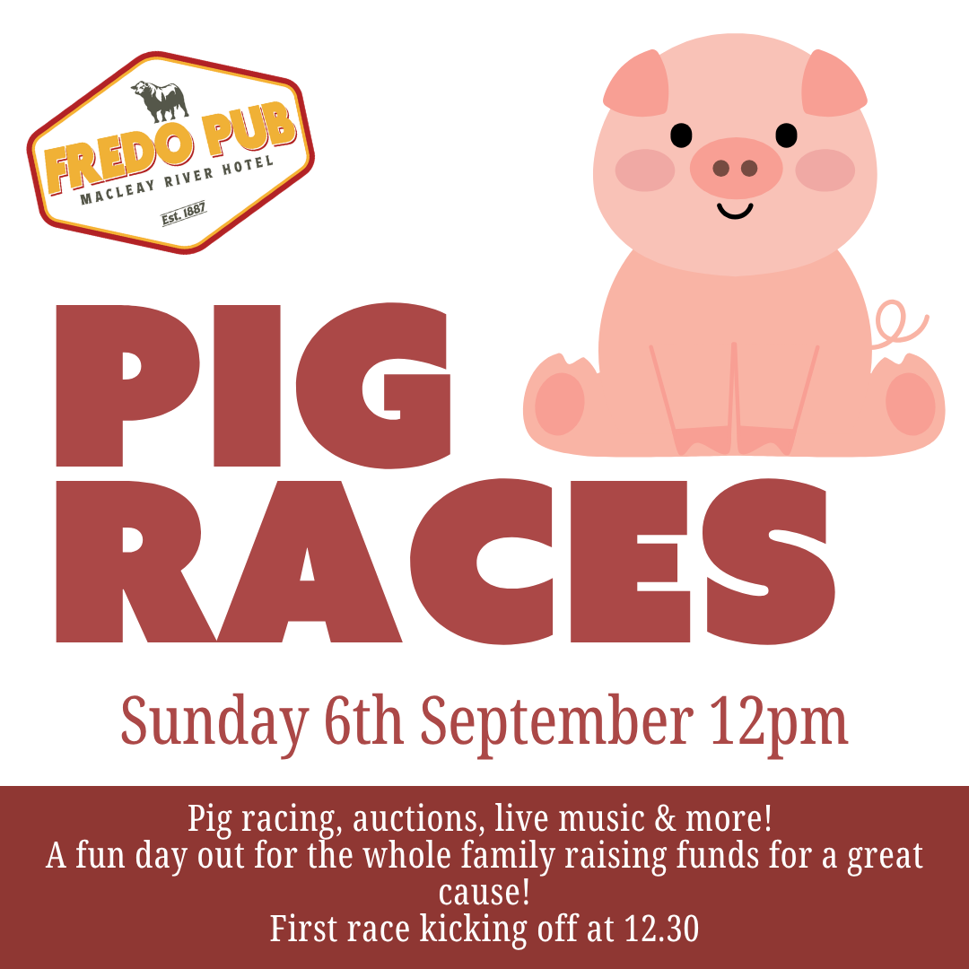 Pig Races