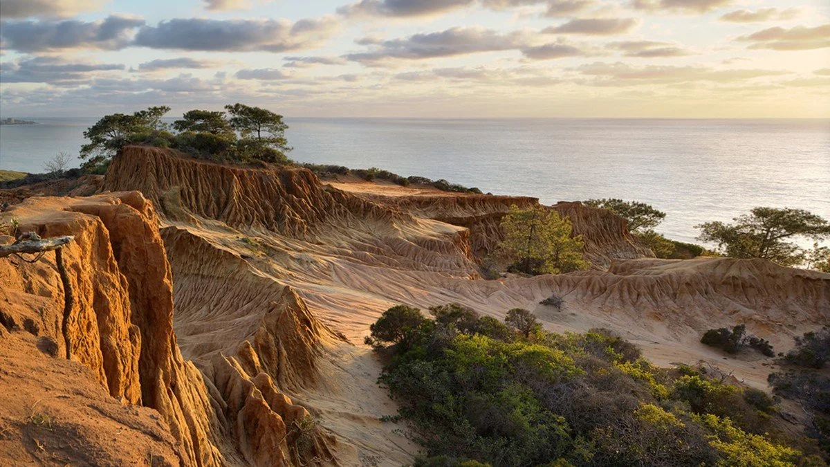 🚗Soak Up San Diego’s Wild Beauty at Torrey Pines State Natural Reserve | Torrey Pines State Natural Reserve, San Diego, CA&nbsp;