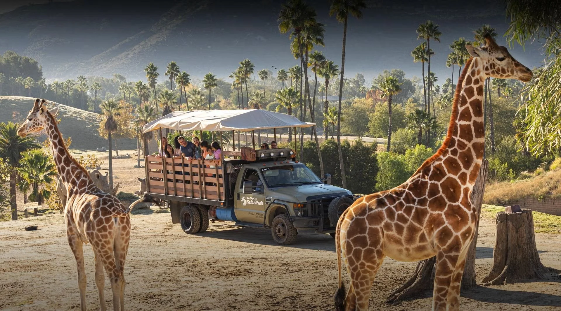 Exploring the San Diego Zoo: A Wild Adventure Awaits — Be Ready Exotics, San Diego, CA