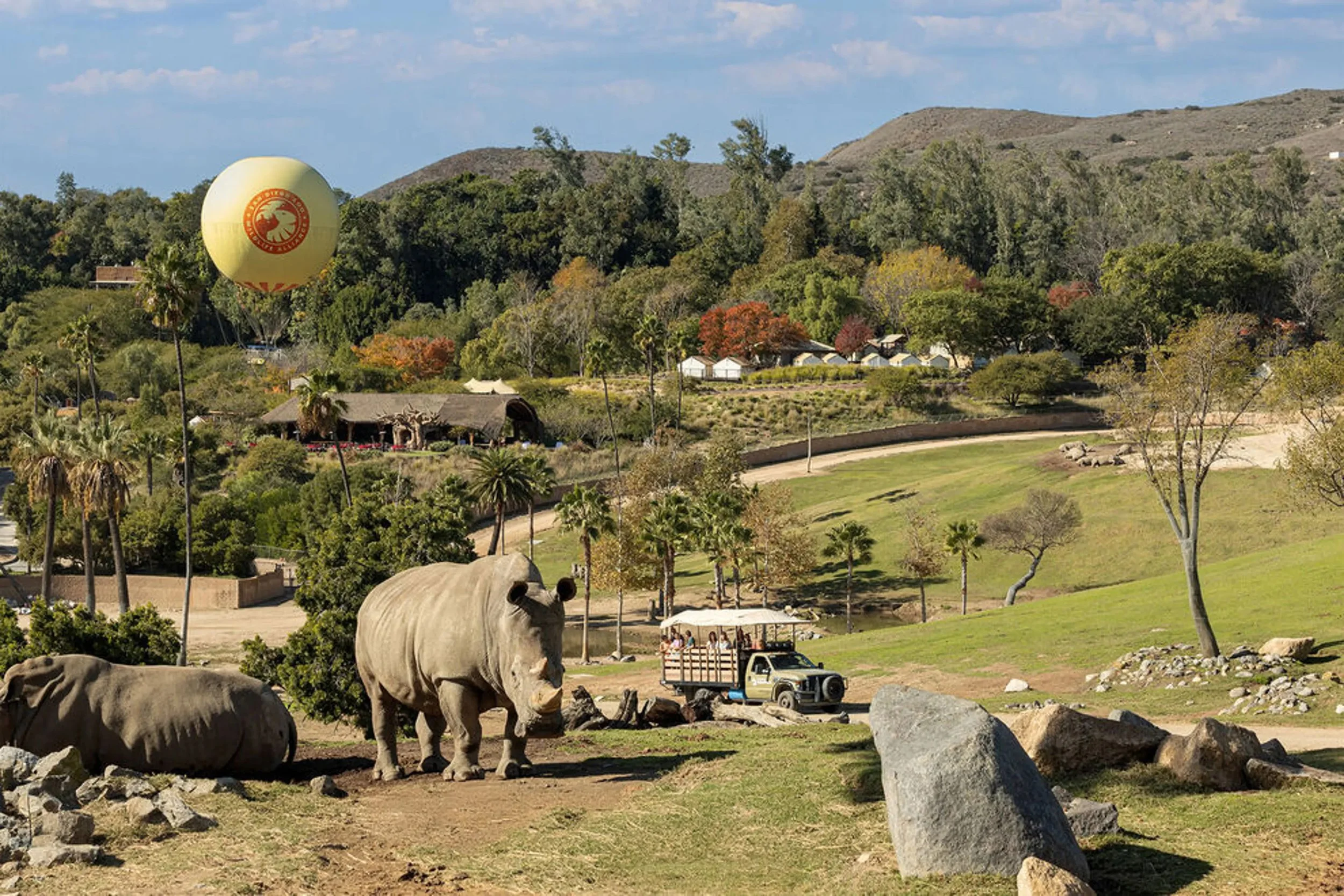 🌴 Experience One of San Diego’s Most Famous Attractions