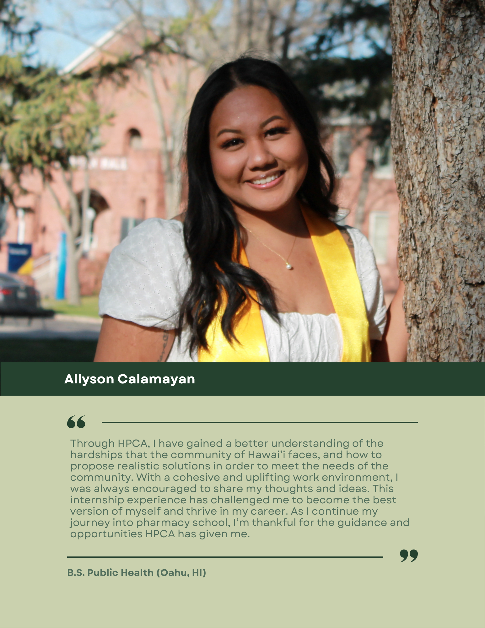 Allyson Internship.png