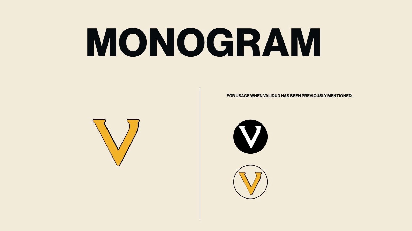 validud brand book.jpg