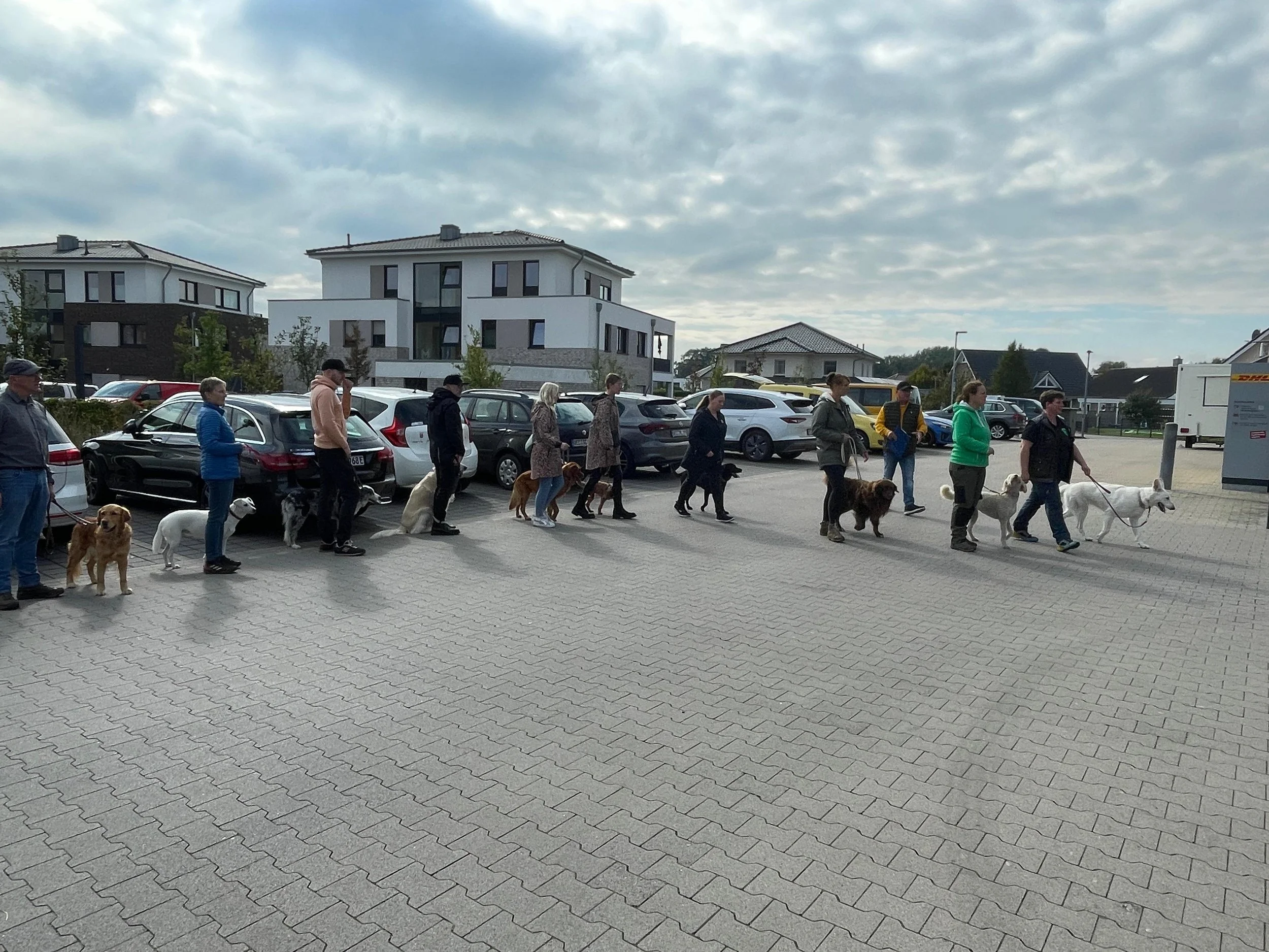 dffda807-5c15-404a-bba3-141c4f2b3c86.JPG