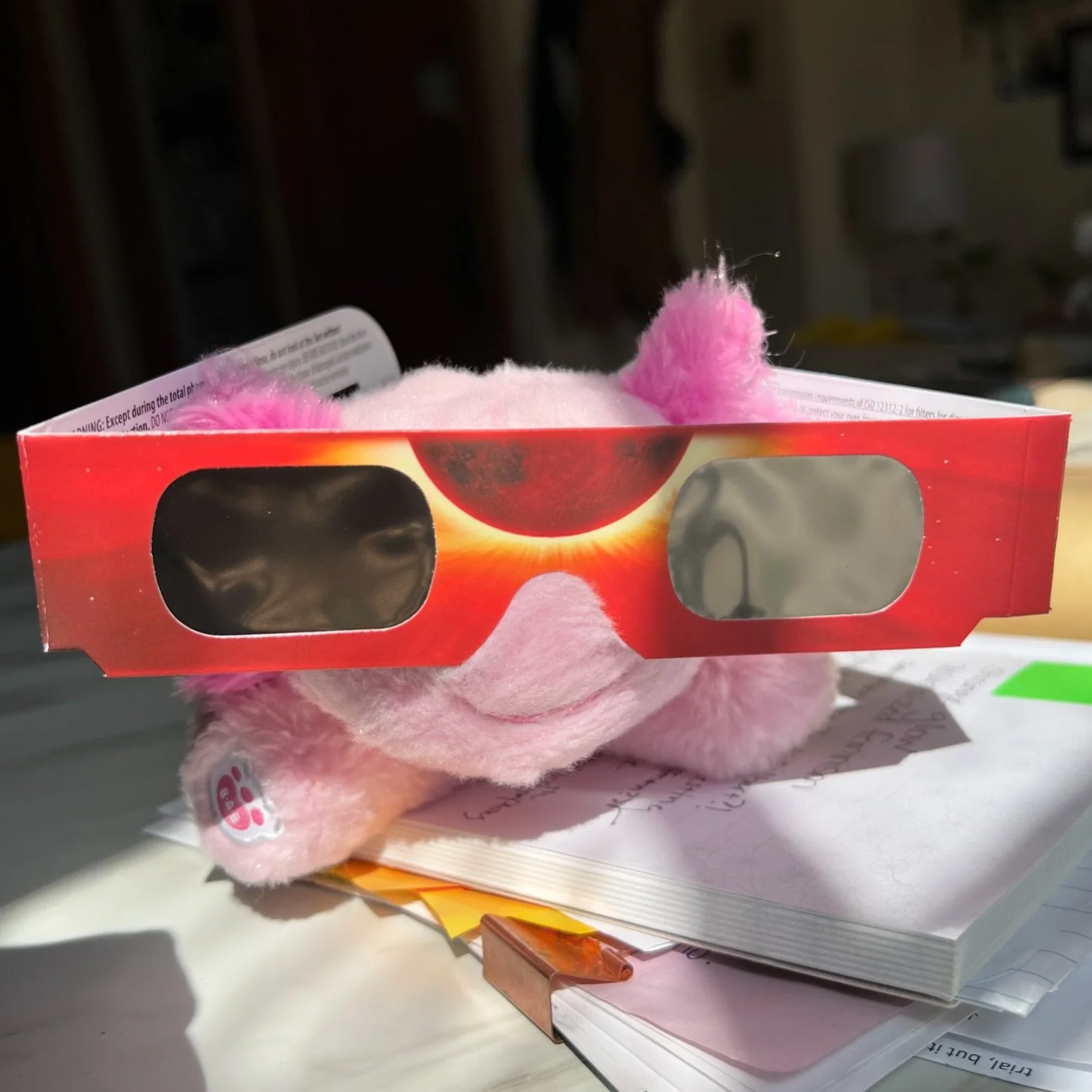 Eclipse ready! ☀️🌑🌎 Please make sure to only use glasses that have been approved for solar viewing. Eye damage can occur in seconds without the proper glasses/viewing equipment. 

#solareclipse #eclipse